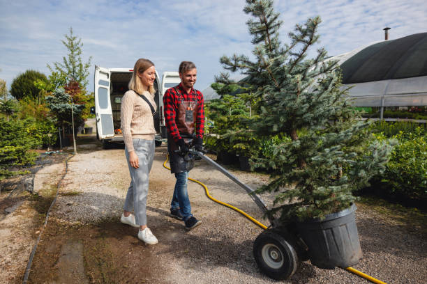 Best Tree Trimming Near Me  in Melissa, TX